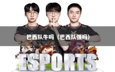 巴西队牛吗（巴西队强吗）