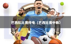 巴西队比赛停电（巴西比赛中断）